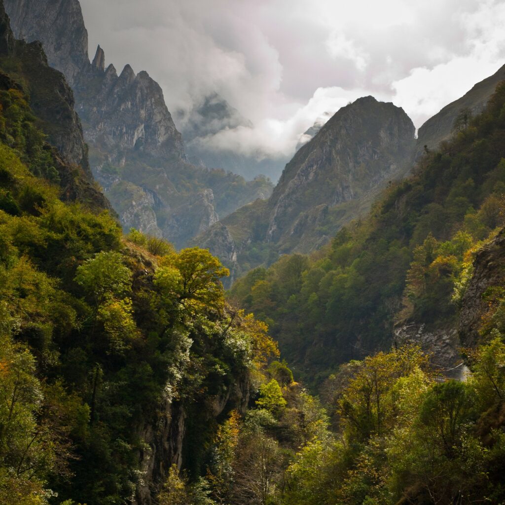 Picos de Europa